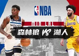 湖人对阵蓝网